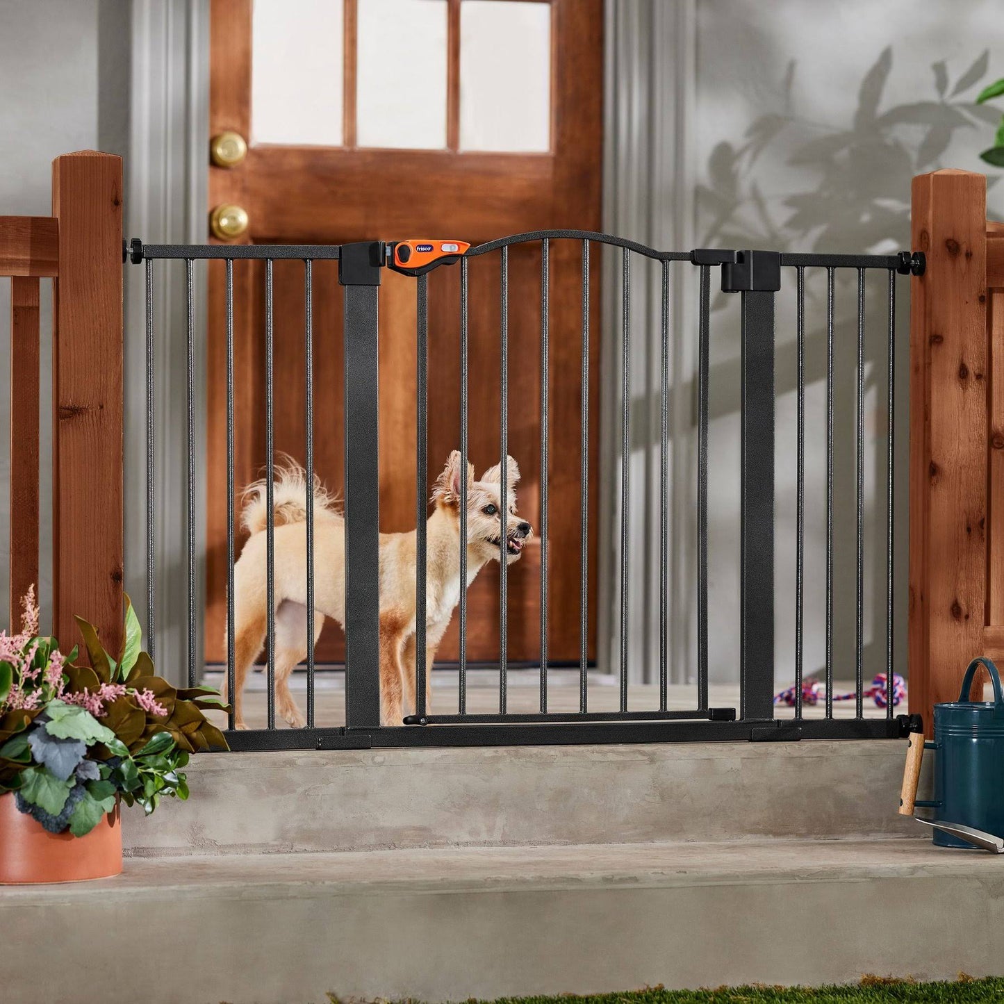 Outdoor Steel Arch Extra Wide Auto-Close Dog Gate