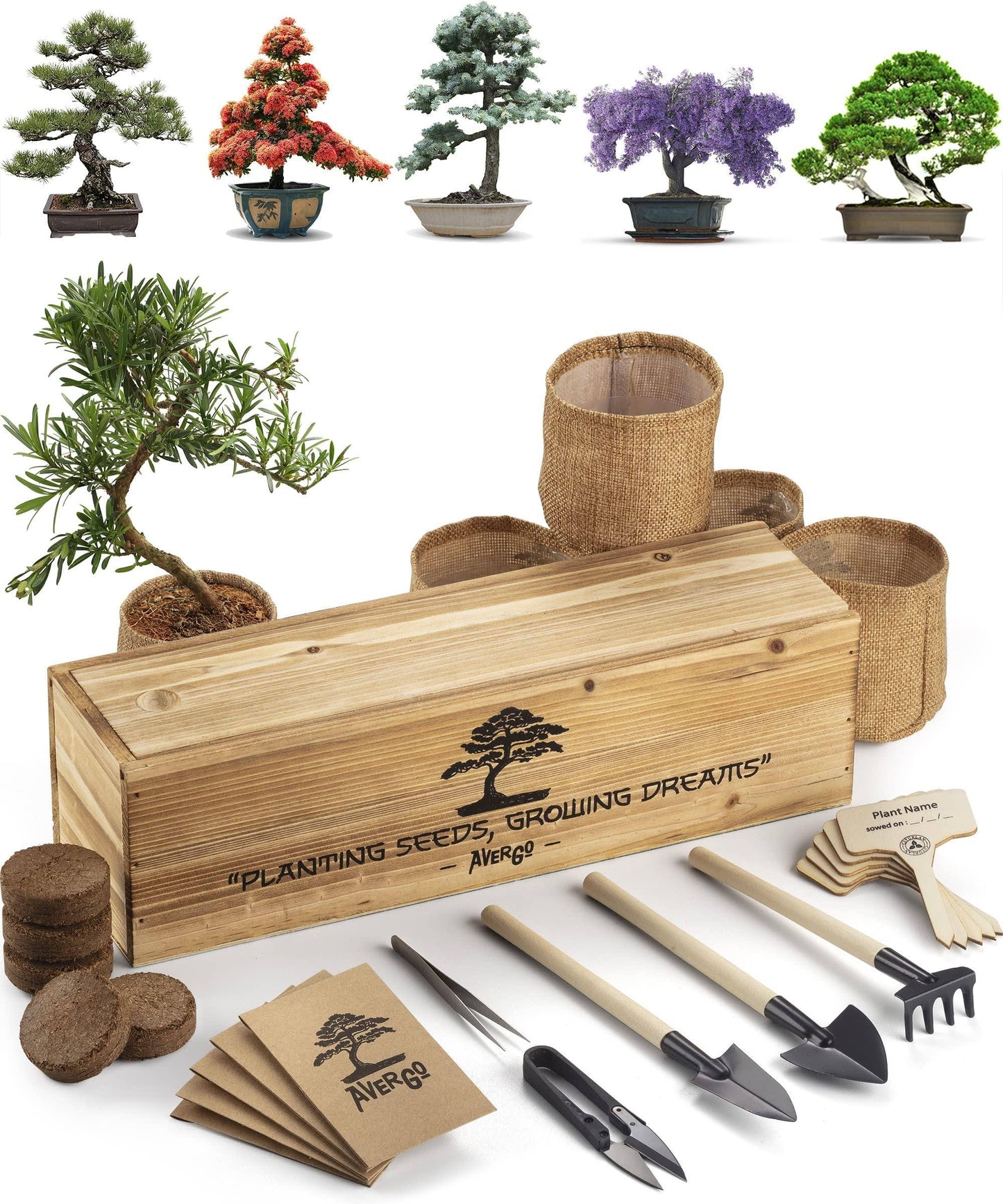 Tree Kit – 5x Unique Japanese Bonzai Trees Complete Indoor Starter Kit For Growing Plants With Bonsai Seeds